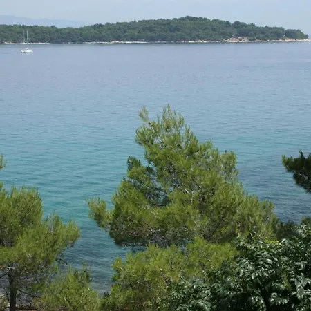 Family Friendly With A Swimming Pool Jelsa, Hvar - 4608 Елса